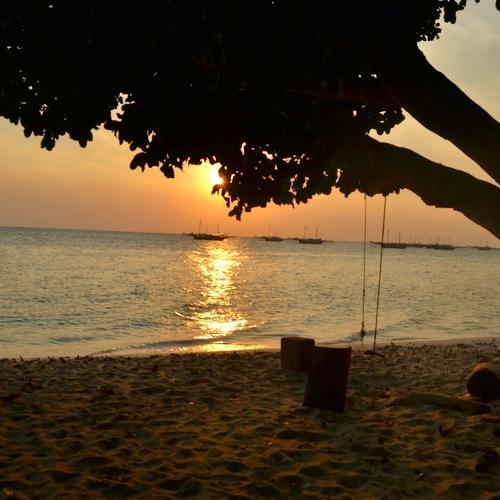 Photo #3537655