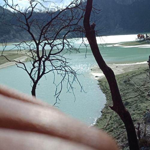 Photo #3538076