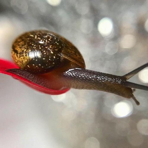 Photo #3538350