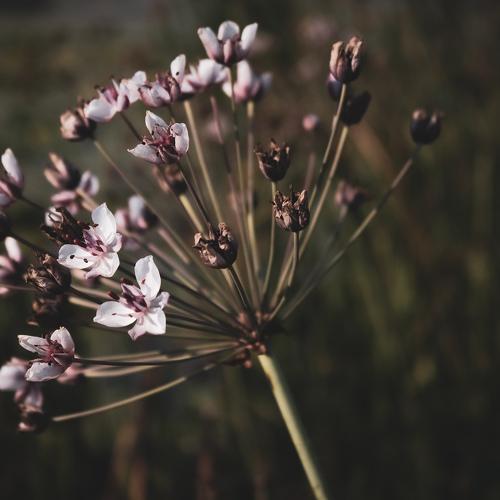 Photo #3538359