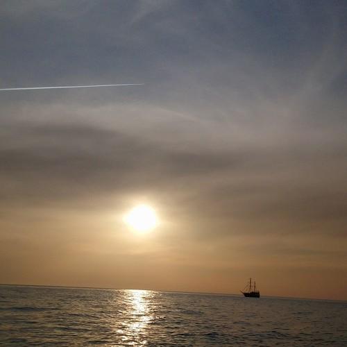 Photo #3538459