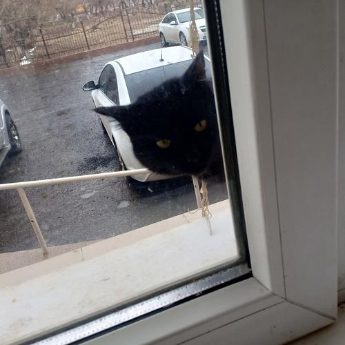 Photo #3538651