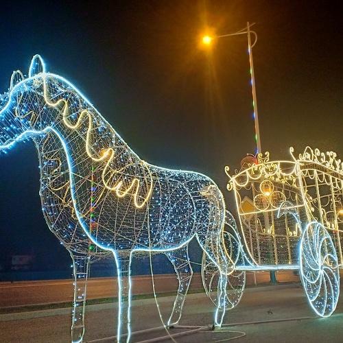 Photo #3538673