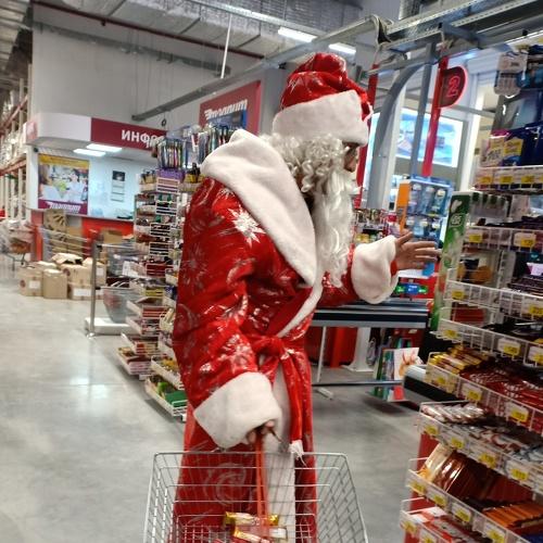 Photo #3538719