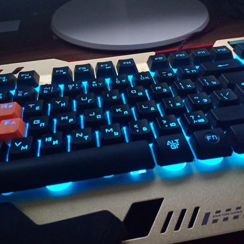 Photo #3538756