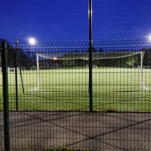 Photo #3538802
