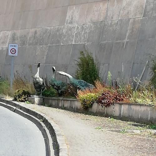 Photo #3538820