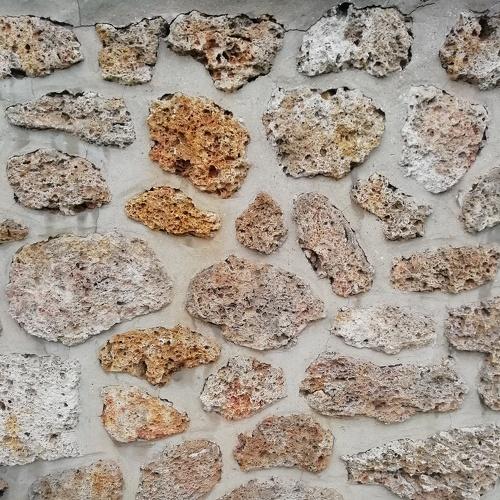 Photo #3538825