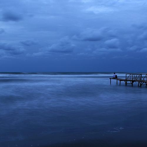 Photo #3538833
