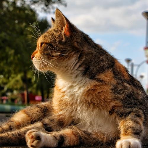 Photo #3538958