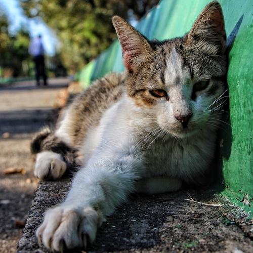 Photo #3538973