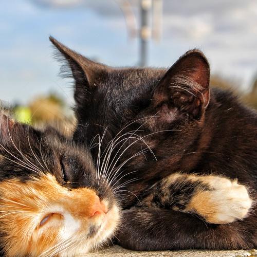 Photo #3538974