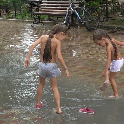 Photo #3539135