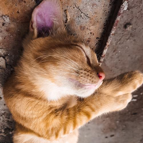 Photo #3539141