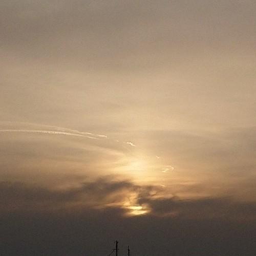 Photo #3539381