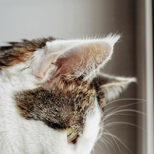 Photo #3539651