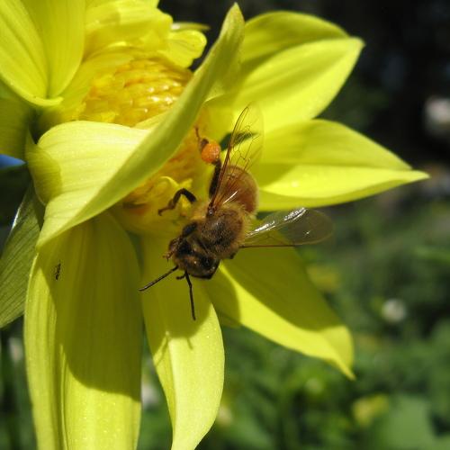 Photo #3540043