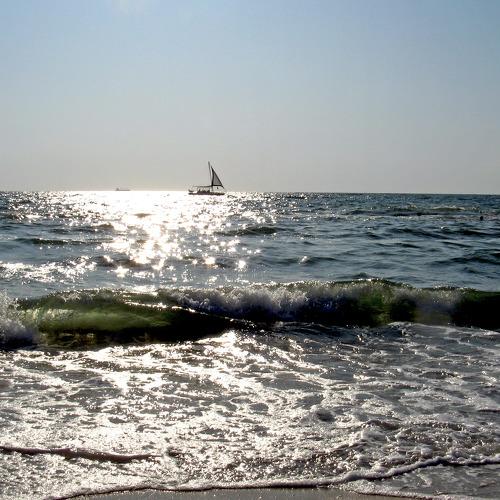 Photo #3540055