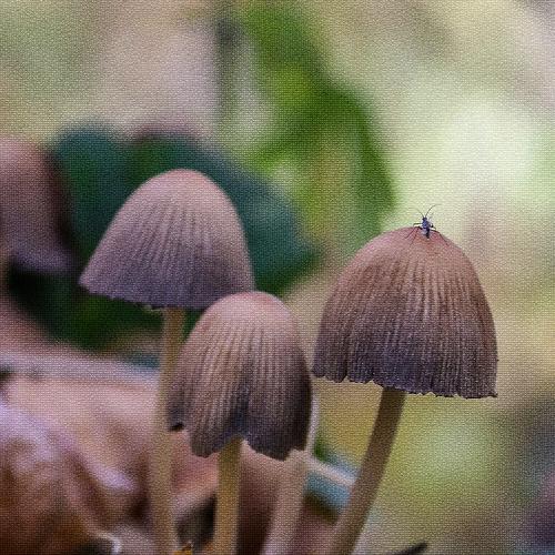 Photo #3540440