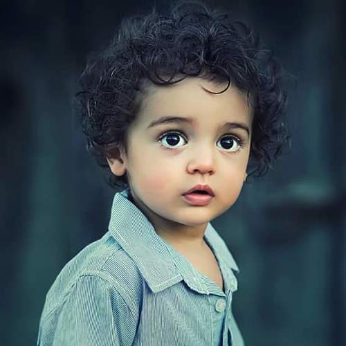 Photo #3540471