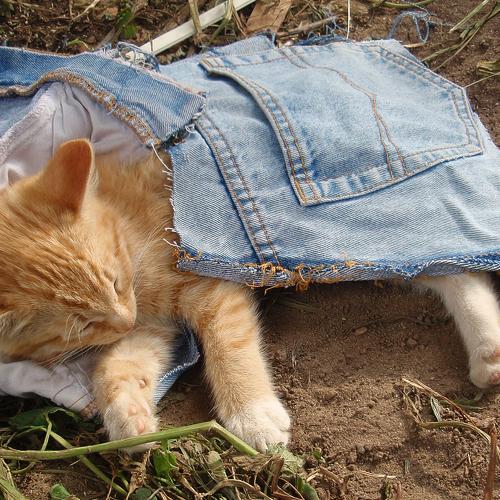 Photo #3540546