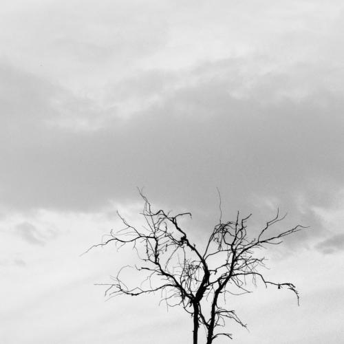 Dry