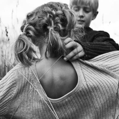 Photo #3540560