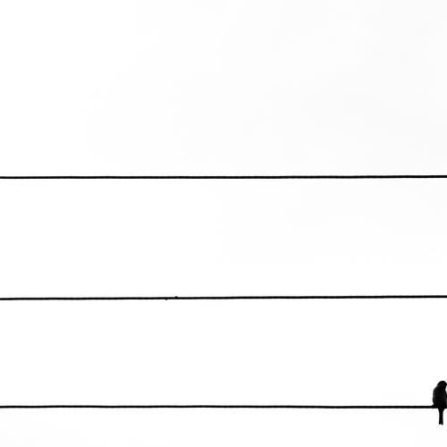 Life