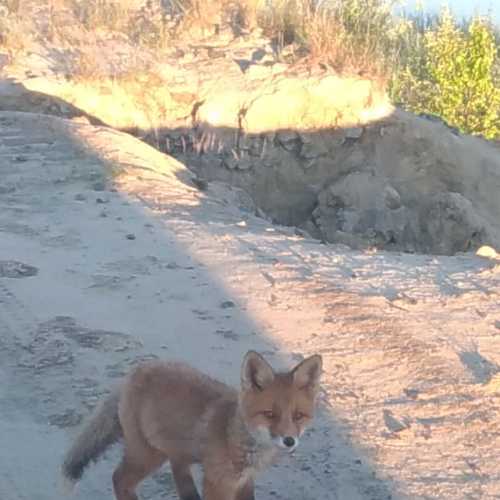 Photo #3540952