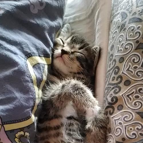 Photo #3540975