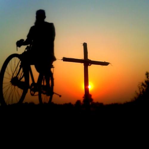 Photo #3540985