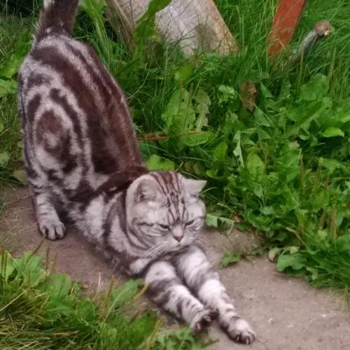 Photo #3541050