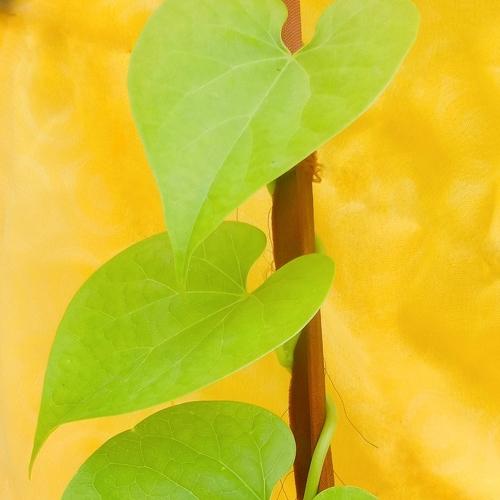Photo #3541137