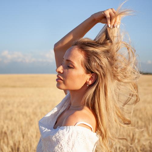 Photo #3541167
