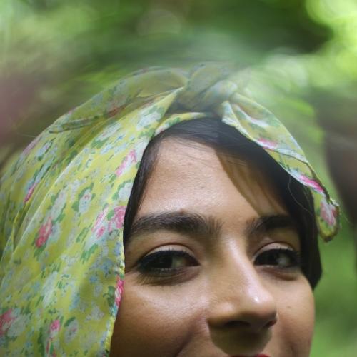 Photo #3541231