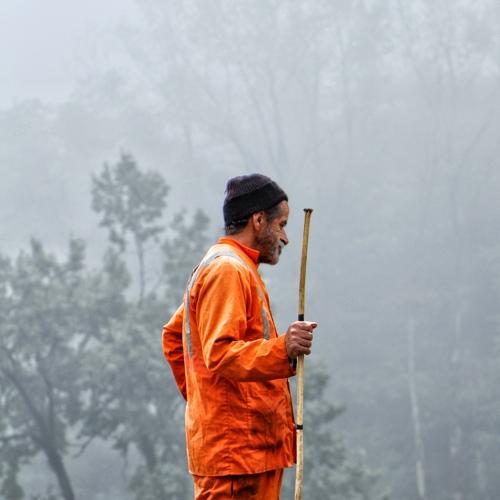 Photo #3541237