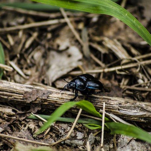 Photo #3541513