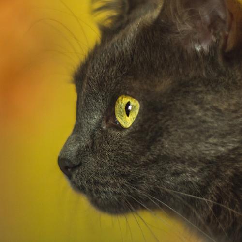 Photo #3541541
