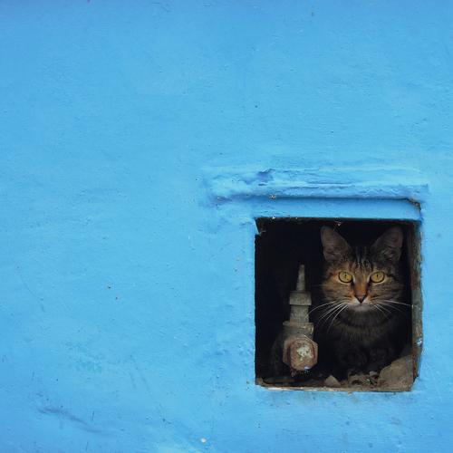 Photo #3541634