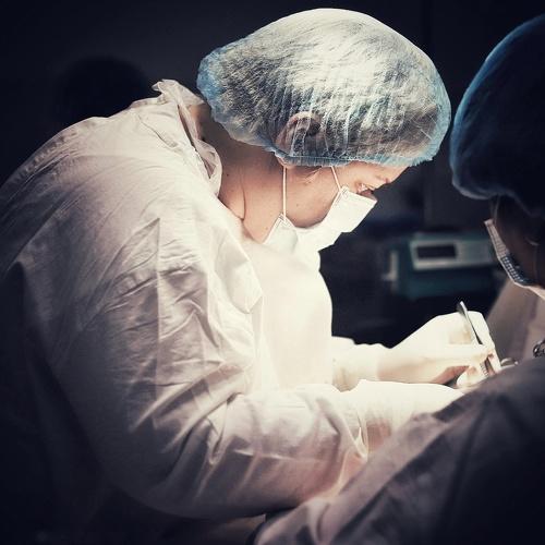 Photo #3541747