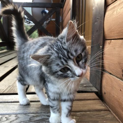 Photo #3541866