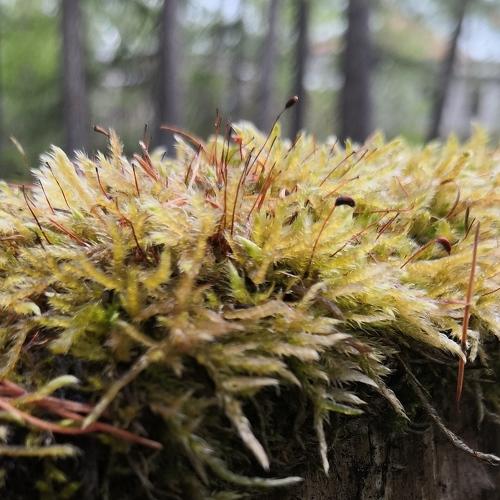Photo #3542238