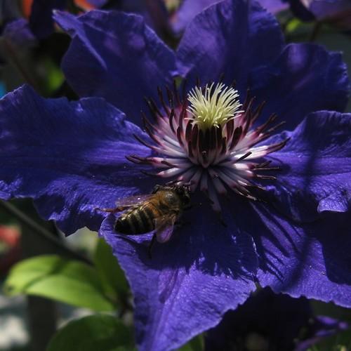 Photo #3542899