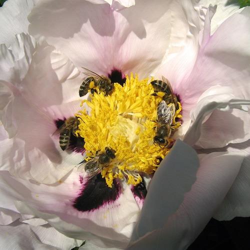 Photo #3542909