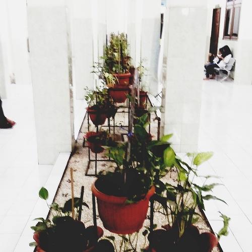 Photo #3542911