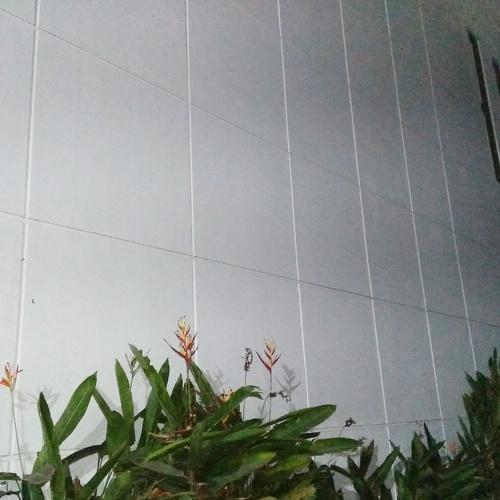 Photo #3542912