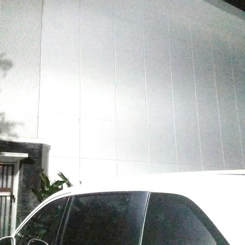 Photo #3542919