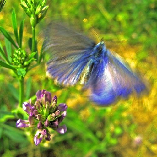Photo #3542929