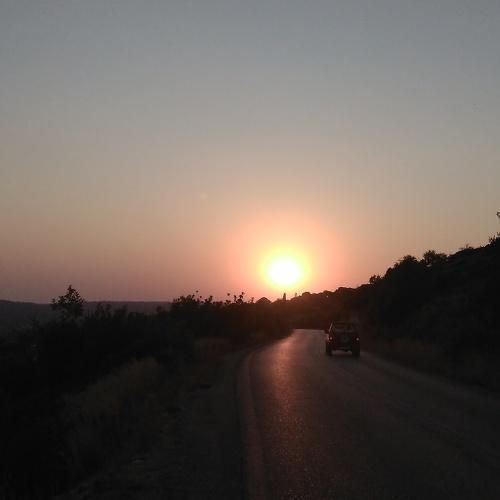 Photo #3543275