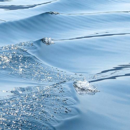 Photo #3543323